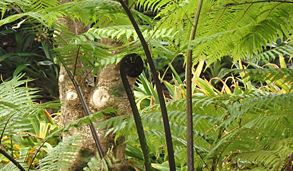 दीवाली विशेषांक 2018 