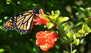 जनवरी-फरवरी 2019