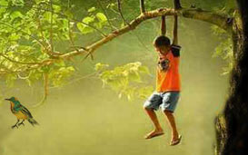 नवम्बर-दिसम्बर-2019 