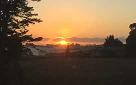 जनवरी-फरवरी 2020