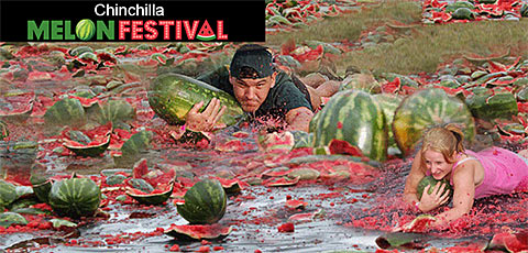 Chinchilla Melon Festival Australia